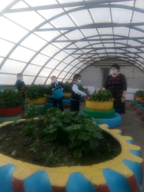 ,, Өсімдіктерді қорғау - адамдардың міндеті,,